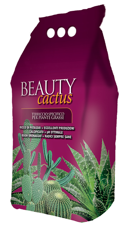 BEAUTYCACTUS - PIANTE GRASSE