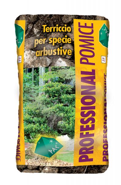 PROFESSIONAL POMICE - terriccio con pomice